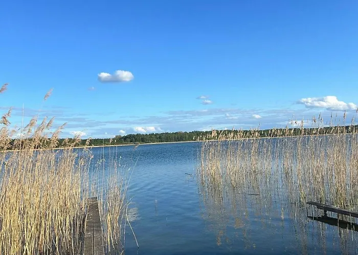 Wellengefluester - Abc590 - Nur Feriengaeste!