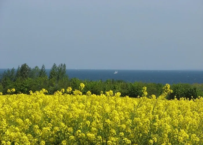 アパート Wellengefluester - Abc590 - Nur Feriengaeste! Hohen Viecheln